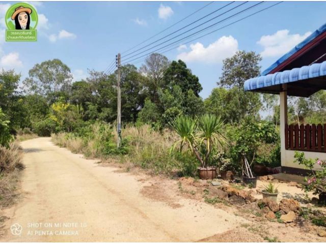 ที่ดิน 115 ตร.ว. บ้านคอนสาย/ยโสธร ราคา 300,000 บาท