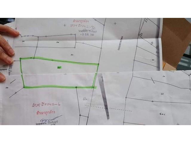 ขายที่ดินติดถนนเพชรเกษม จ.เพชรบุรี ใกล้โรบินสัน