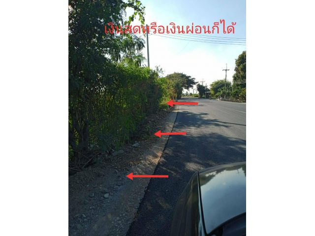 ขายที่ดินเปล่า ขนาด 124 ตรว.