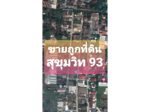 ขายที่ดินถูกที่สุด สวย 102 วา สุขุมวิท 93