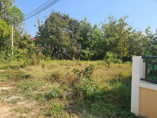 ขายที่ดินโซนสันทรายหลวง 5 กม.จากโฮมโปรสันทราย ถ.รอบเมืองเชียงใหม่