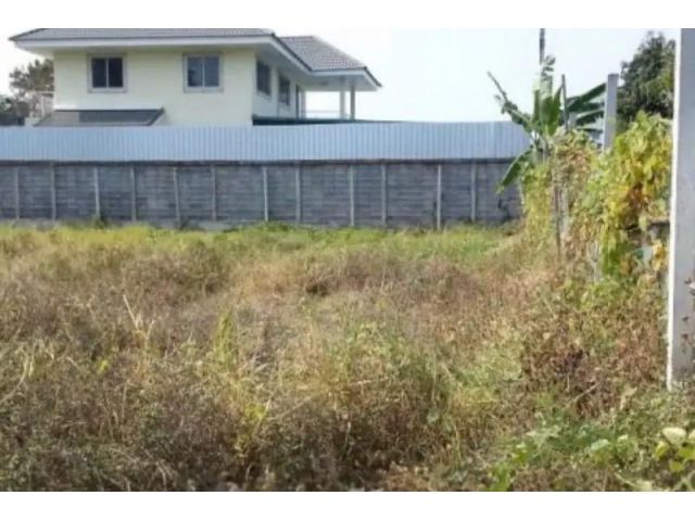 ขายที่ดินถมแล้ว 260 ตร.ว ซอยสุขุมวิท101 ใกล้ปุณณวิถี 27 เขตพระโขนง ราคา 80,000 บาท/ตรว.