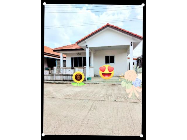 ขาย/ให้เช่าบ้านและที่ดิน ทำเลทอง