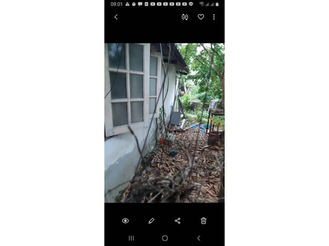 ขายบ้านพร้อมที่ดิน168ตารางวา