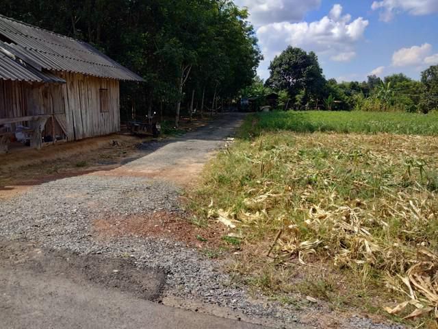 ที่ดินแบ่งขาย 70 ตรว. พนมสารคาม ใกล้ถ.เส้น 3017 - 400 เมตร จ.ฉะเชิงเทรา
