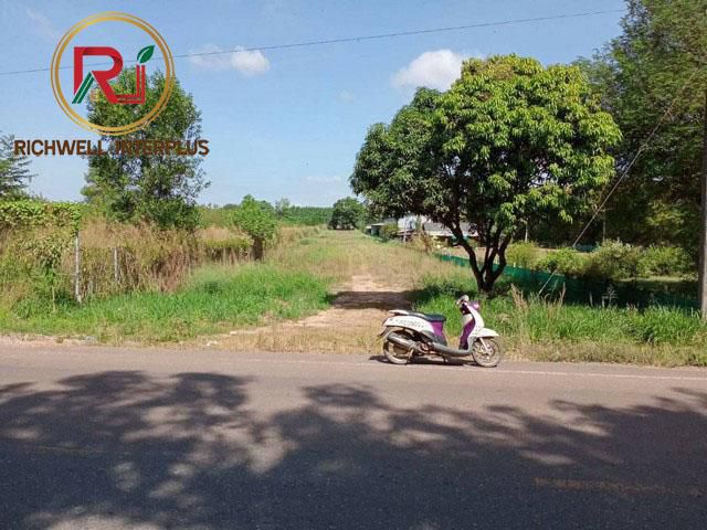 ขายที่ดิน 3 ไร่ ติดถ.ลาดยาง ใกล้ถ.เส้น319 -1 กม. อ.พนมสารคาม จ.ฉะเชิงเทรา