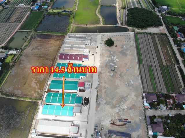S304 ขายโรงงานสร้างใหม่พร้อมใช้งานทันที 443 ตร.ว ถนนกว้าง กู้ง่าย เดินทางสะดวก ขายโรงงาน