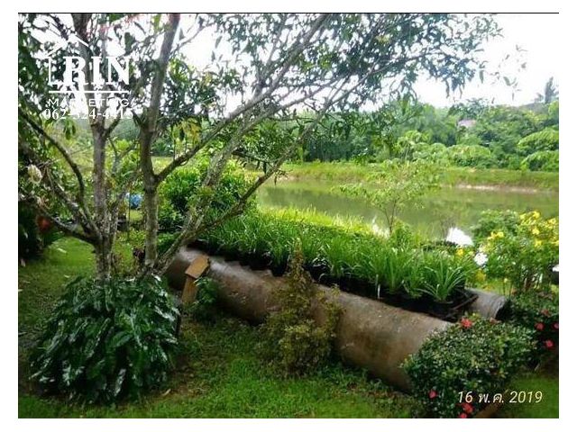 รหัสทรัพย์ :    AK270421-04 ที่ดินหลังปตท. ตำบล ป่ายุบใน อ.วังจันทร์ จ.ระยอง