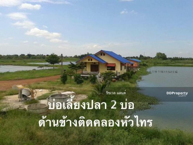 ขายบ่อปลาพร้อมบ้าน 18. 5 ไร่ บางคล้าใกล้ถ. 5033 - 2 กม. จ. ฉะเชิงเทราCHA-676