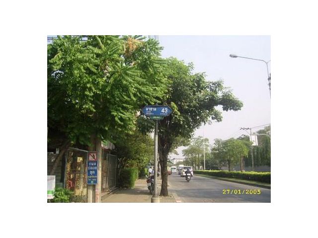 ให้เช่าบ้าน เจ้าของให้เช่าเอง