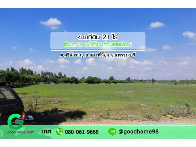 ขายที่ดิน อ.สองพี่น้อง จ.สุพรรณบุรี  21 ไร่ ที่ดินทำนา มีน้ำทั้งปี อากาศดี