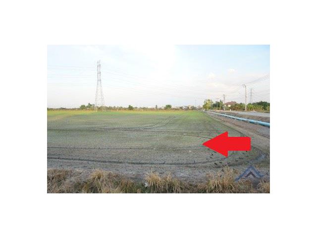 ขาย ที่ดินเปล่า ย่านไทรน้อย (ในซ.วัดคลองตาคล้าย)