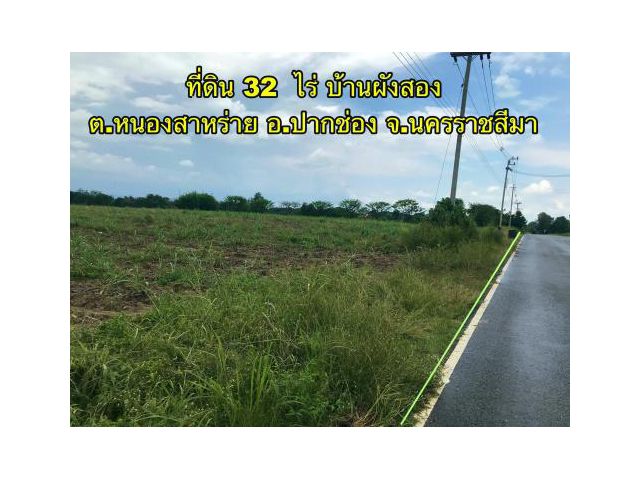 ขายที่ดิน 32 ไร่ บ้านผังสอง ต.หนองสาหร่าย อ.ปากช่อง จ.นครราชสีมา