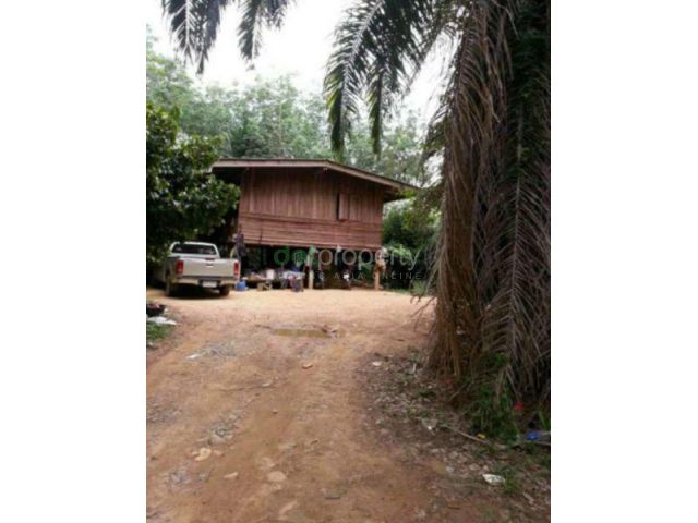 ขายที่ดิน 21 ไร่ ราคาไร่ละ 1,000,000 บาท ติดถนนลาดยาง 4041