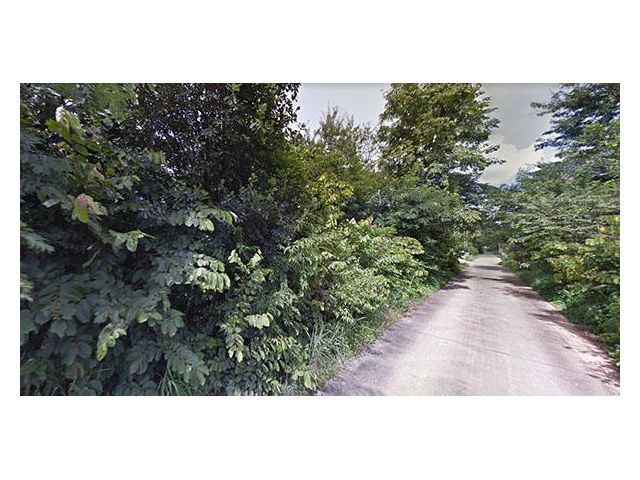 9B1MG0005 ขายที่ดิน พร้อมเอกสารสิทธฺ์ โฉนด   ที่ดินทำเลสวย   ที่ดินมีขนาด  100 ตรว.. โอนคนละครึ่ง ตั้งอยู่บนทำเลดีมาก