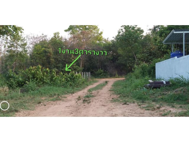 9B1MG0006 ขายที่ดิน พร้อมเอกสารสิทธฺ์ โฉนด   ที่ดินทำเลสวย   ที่ดินมีขนาด  103.1  ตรว.. โอนคนละครึ่ง ตั้งอยู่บนทำเลดีมาก