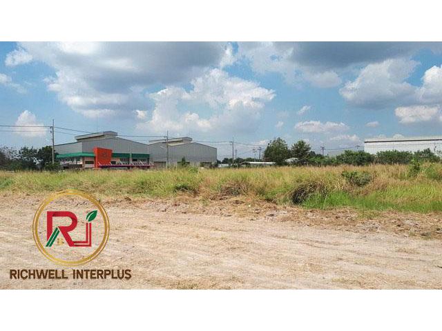 ขายที่ดินราคาถูกศรีมโหสถ 4 ไร่ ใกล้ถ.ฉะเชิงเทรา-กบินทร์บุรี(304) 1 กม. จ.ปราจีนบุรี