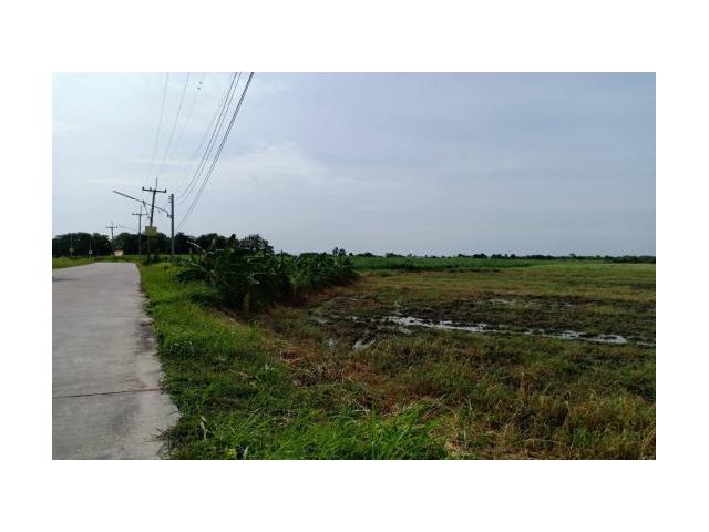 ที่ดินหน้ากว้าง200เมตร ขายที่ดิน 100 ไร่ เหมาะทำโรงงาน ต.หนองบอนแดง อ.บ้านบึง จ.ชลบุรี