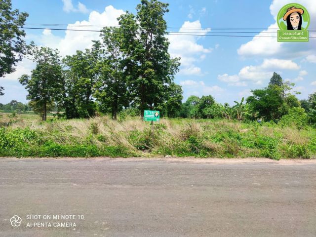 ที่ดินติดถนนลาดยางเหมาะทำเกษตร/อ.น้ำยืน