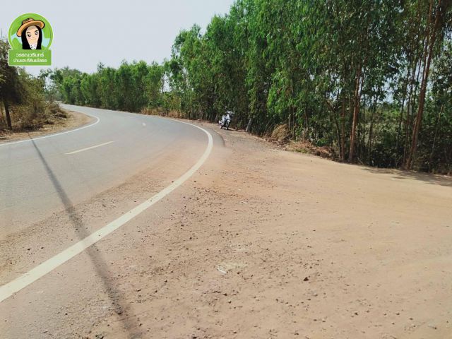 ที่ดินติดถนนลาดยางบ้านสวาท ใกล้รพ.เลิงนกทา