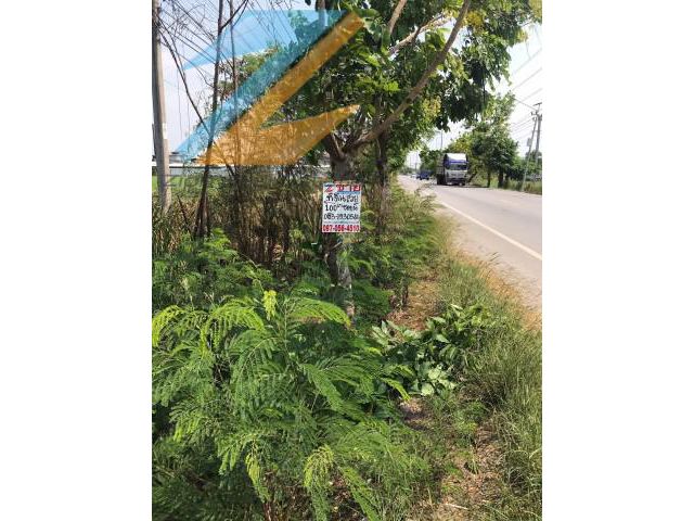 ขายที่ดิน100 ตร.ว. ที่ทำการตำบลคลองขวาง ต.ไทรใหญ่ อ.บางบัวทอง จ.นนทบุรี