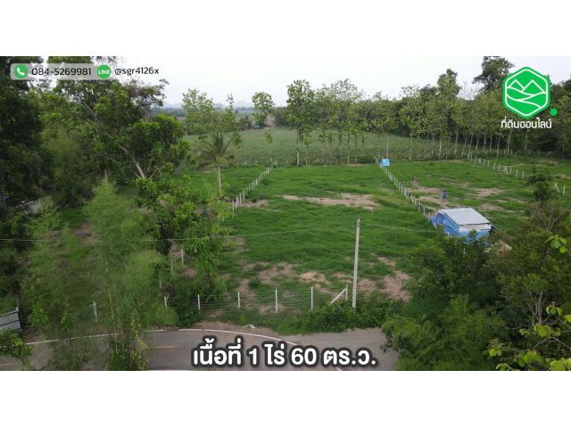 ที่ดินปากช่อง อ.จอมบึง ราชบุรี วิวต้นไม้ วิวเขา ติดลาดยาง  เนื้อที่ 1 ไร่ 60 ตร.ว.