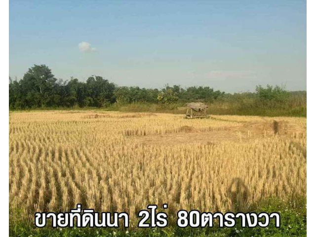 5B3MG0067 ขายที่ดินทำเลสวย พร้อมเอกสารสิทธฺ์โฉนด ขนาดพื้นที่ 2 ไร่ 80 ตารางวา ขายราคา 6,380,000 บาท