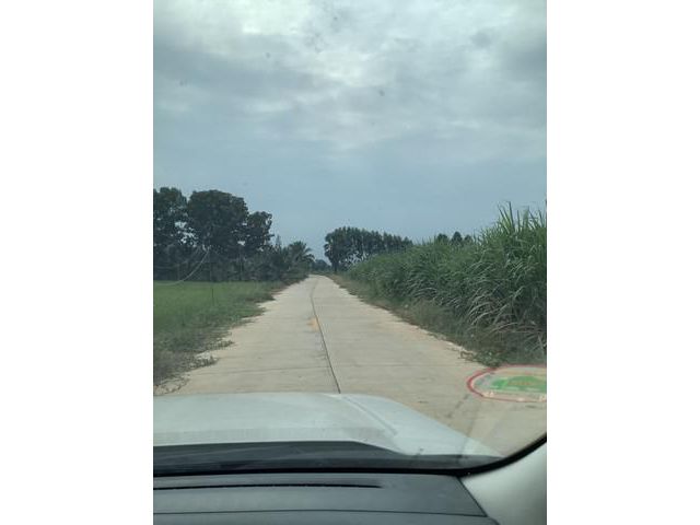 ขายที่ดิน พนัสนิคม 65-1-0 ไร่