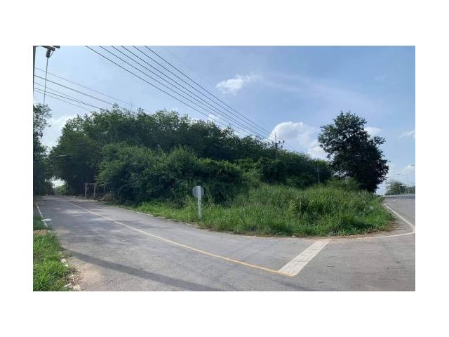 ที่ดินชลบุรี ขายที่ดิน 34 ไร่ ติดถ.เส้นบ้านบึง แกลง(344) ใกล้นิคมอีสเทอร์ซีบอร์ด 32 กม. อ.หนองใหญ่ จ.ชลบุรี
