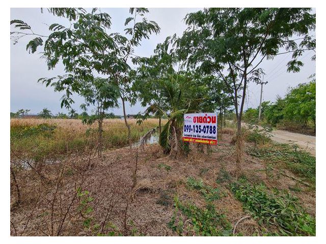 LD-01251 : ที่ดินเปล่า 16 ไร่ 3 งาน 19.2 ตร.ว. หมู่บ้าน ซอยกรองทองฟาร์ม