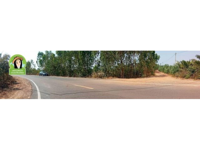 ที่ดินแปลงสวย บ้านสวาท/เลิงนกทา จ.ยโสธร