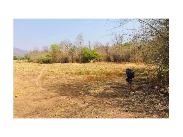 ที่ดินทำสวน ขายที่ดิน 6 ไร่ มีวิวภูเขาใกล้ถ.104 390 เมตร ใกล้ถนนพหลโยธิน 8 กม. อ.เมืองตาก จ.ตาก