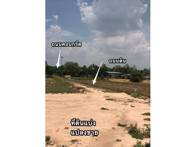 ที่ดินแบ่งล๊อคราคาจับต้องได้ บ้านเพียนาม/ศรีสะเกษ