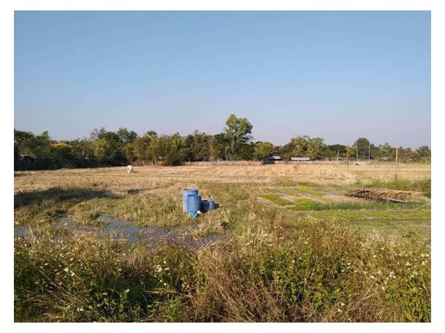 ขายที่นา/ที่ดิน/ที่ทำการเกษตร จังหวัดลำปาง สามารถใช้ทำนา หรือ การเกษตร และสร้างสิ่งปลูกสร้างอื่นๆได้