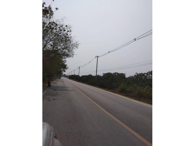 ขายที่ดิน ติดน้ำปิงหน้าถนนหลักท่าลี่ อ.ป่าซาง
