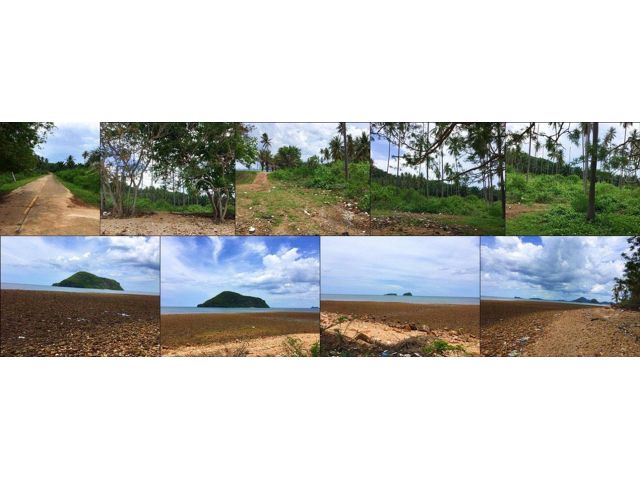 ขายที่เนื้อที่ 3 ไร่ 42 ตารางวา หาดทุ่งขวัญทอง จ.ชุมพร