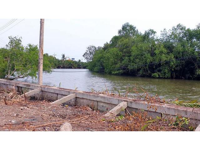 ขายด่วนที่ดินติดแม่น้ำ 3 ไร่ 1 งาน  ใกล้อัมพวา