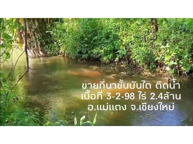 ขายที่นาขั้นบันได ติดน้ำเนื้อที่ 3-2-98 ไร่ 2.4ล้าน อ.แม่แตง จ.เชียงใหม่​