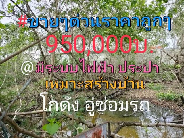 ขายที่ดินถูกๆที่ดินเพื่อสิ่งปลูกสร้างที่อยูอาศัย โกดังอู่ซ่อมรถ เนื้อที่100ตรว.