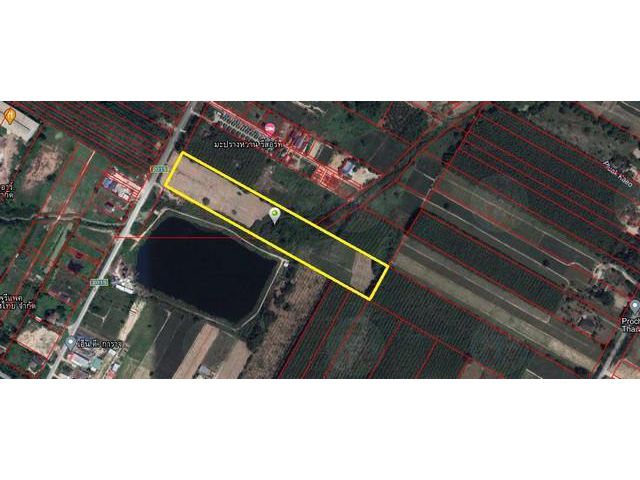 ขายที่ดิน 23 ไร่ พื้นที่ม่วงลาย เหมาะสำหรับทำโรงงาน โกดัง เหมาะทำหมู่บ้านจัดสรร ซอย 9 ใกล้ถนนทางหลวงหมายเลข 36 อำเภอนิคม