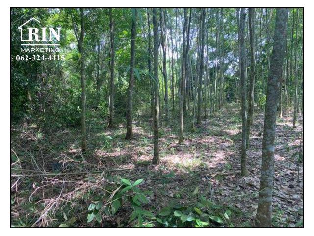 รหัสทรัพย์ :  AK060521-03 ที่ดินป่ายาง บ้านค่าย  ระยอง