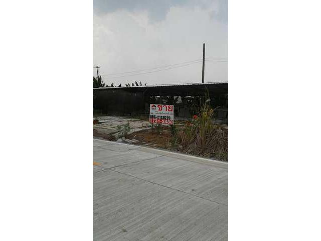 ที่ดิน 100 ตรว. ถ.ลำลูกกา ซ.3 เหมาะสำหรับปลูกบ้าน