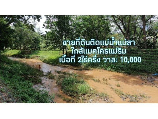 ขายที่ดินติดแม่น้ำแม่สา ใกล้แมคโคร​แม่ริม เนื้อที่ 2ไร่ครึ่ง วาละ 10,000​