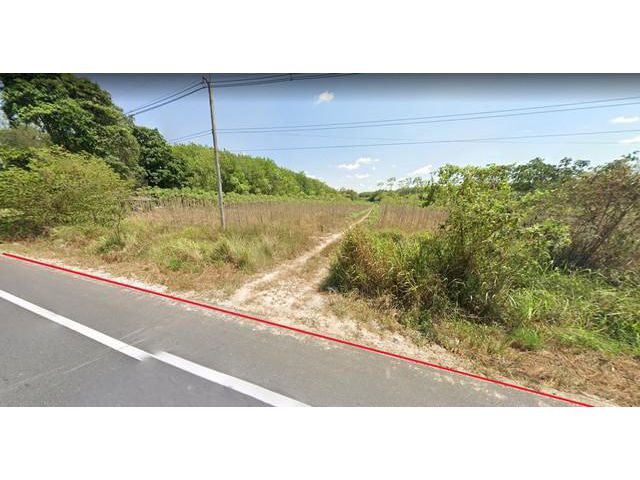 ขายที่ดิน 23 ไร่ พื้นที่ม่วงลาย อ.นิคมพัฒนา ระยอง