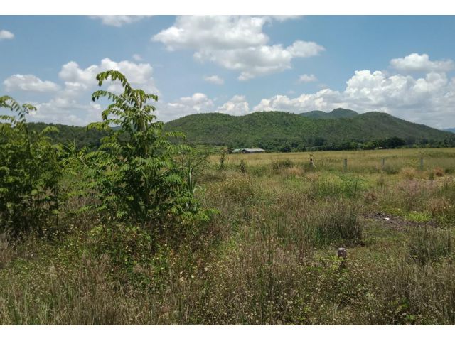ที่ดินเปล่าร้องวัวแดง