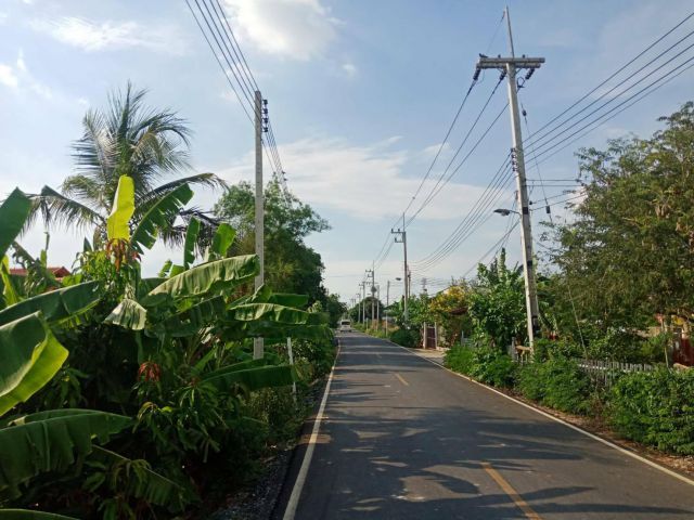 ขายที่ดินพนมสารคาม 6 ไร่ ติดถ.ลาดยางราคาถูก ใกล้ถ.เส้นฉะเชิงเทรา-กบินทร์บุรี(304) - 1 กม. จ.ฉะเชิงเทรา