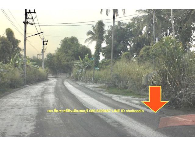 ###ขายที่ดินพื้นที่สีม่วงเมืองชลบุรี เนื้อที่ 5-3-94ไร่###