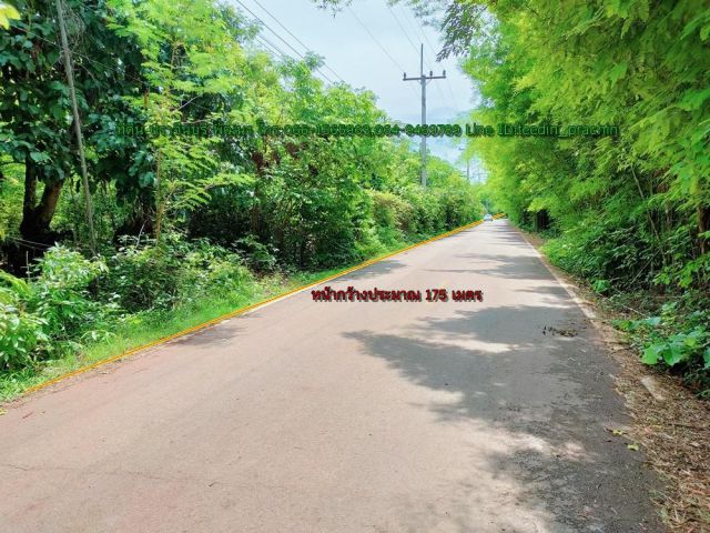 ️ขายที่สวนป่า ที่ดอน ที่โคก ที่ในหมู่บ้านติดถนนลาดยาง เขตประจันตคาม เนื้อที่ 20-1-70 ไร่