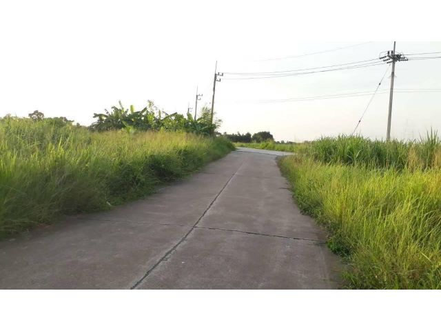 ขายที่ดินบ้านบึง 38 ไร่ ติดถ.คอนกรีต ใกล้ถ.วิฑูรดำริ - 1 กม. จ.ชลบุรี