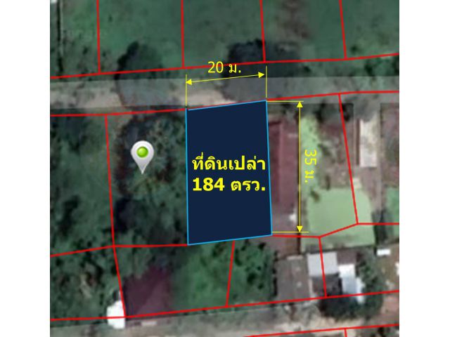 ขายที่ดินเปล่า 184 ตรว. (ต.สันกลาง  อ.สันกำแพง)